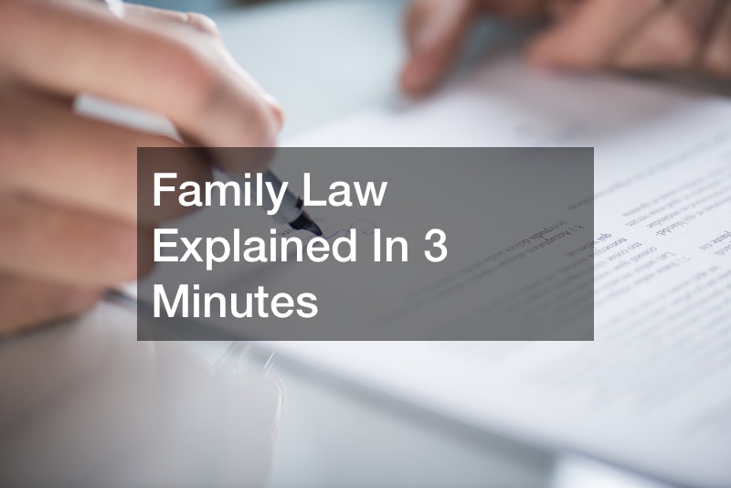 Family Law Explained In 3 Minutes Lawyer Lifestyle